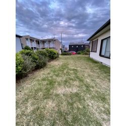 芝刈り前の雑草取りの画像2