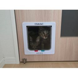 ひそかにプチブレイク中！〚ペットドア取り付け〛⁡サービス♡の画像1