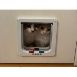 ひそかにプチブレイク中！〚ペットドア取り付け〛⁡サービス♡の画像2