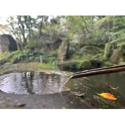 夏より怖いのは、“汚れた風”の画像1