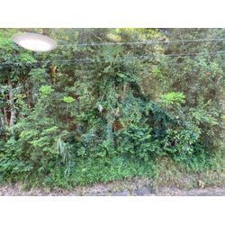 ★窓クリーニング★の画像2