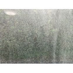 ★窓クリーニング★の画像1