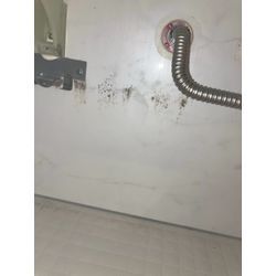 【成人の日】の画像1