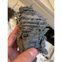 赤ちゃんがいる家庭こそ、洗濯機内部の汚れに注意が必要な理由の画像3