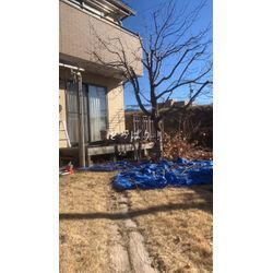 とある剪定の画像3