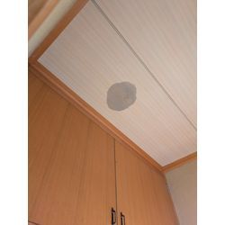 害獣の糞尿による天井のシミを修理しました。の画像1