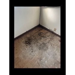 フローリング剥がし工事の画像1