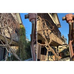 お庭じまい、実はここが心配…ご依頼の際に感じる不安3選の画像3