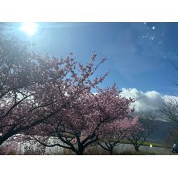 春の得割キャンペーン中の画像1