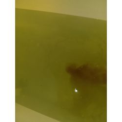 お風呂・追い焚き配管クリーニングの画像1