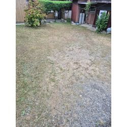 草刈り★の画像3