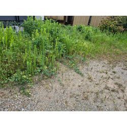 草刈り★の画像2