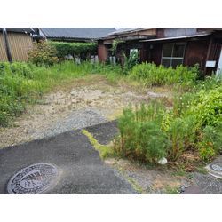 草刈り★の画像1