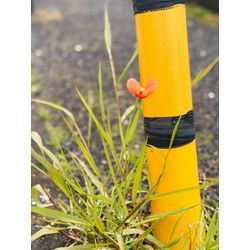 直せなかったらお代は取らないの画像1