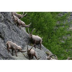 モノが多くても大丈夫。プロと一緒にラクに整える暮らしの画像1