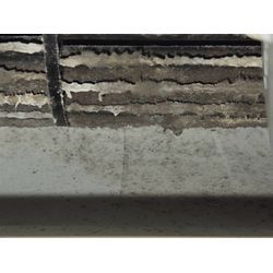 大阪府河内長野市加賀田エリアの皆様へ！エアコンクリーニングの新常識、クマッペのサービスを体験しませんか？の画像1