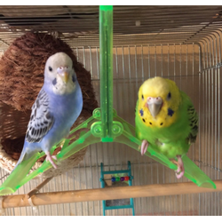 ペットの遺品供養についての画像3