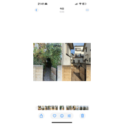 「木のぬくもりと、人とのつながりを感じた一週間」の画像2