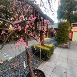 お支払い方法の選択についての画像2