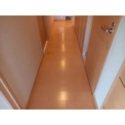 築17年の分譲マンション床ワックス剥離の画像1