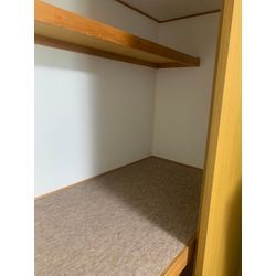 押入れカビの対応の画像2