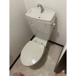 ウォシュレット取り外し現状戻しの画像3