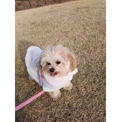 2025年もありがとうございました(⁠◕⁠ᴗ⁠◕⁠✿⁠)の画像1