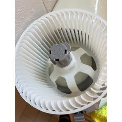 黒カビ対策の画像2