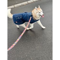 【この仕事をしていなければ出会えなかった皆様へ】今年の夏もご縁に感謝しながらお伺いします。の画像1