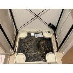 世田谷区　洗濯機排水口詰まり除去！の画像1