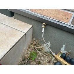 柏市 ゴキブリ駆除の画像1
