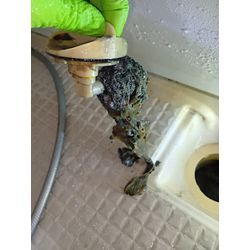 ペットの抜け毛による排水管トラブルに注意❢の画像1