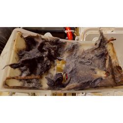 あなたの洗濯機、実は「絶望的」なことになっていませんか？の画像1