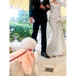 お花と一緒に可愛いリングドッグちゃんの画像2