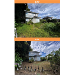 【勝浦市】空き地庭の除草作業　2025年9月29日の画像1