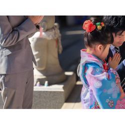 七五三 常光円満寺の画像2