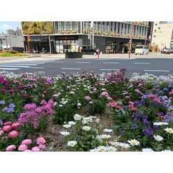 31ご注文ありがとうございました18の画像1