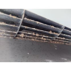 ごめんなさいの画像2