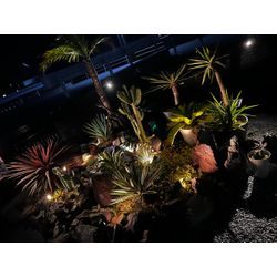 ドライガーデン受付始めました！の画像1