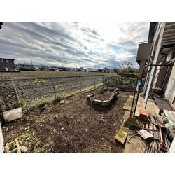 伐採除草作業をさせて頂きました！の画像2