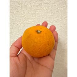 「どれどれ、お客様に頂いたお菓子か・・・、うまあっ！！」の画像1