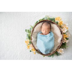 【コスモス】ニューボーンフォトお花のお色目見本の画像1