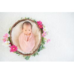 【コスモス】ニューボーンフォトお花のお色目見本の画像3