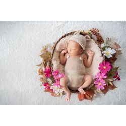 【コスモス】ニューボーンフォトお花のお色目見本の画像2