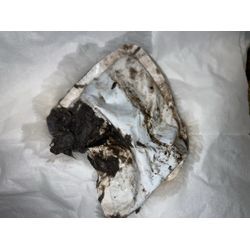 柏市でドラム式洗濯機の詰まり除去に行ってきました！の画像1