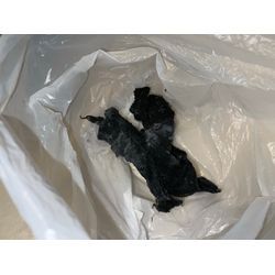 板橋区　シャープドラム式洗濯機　E03エラー！の画像2