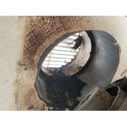 コウモリ対策の画像2