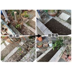 習志野市で花壇の抜根作業｜狭いスペースは…気合と手作業ですの画像1