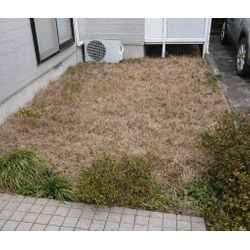 【施工事例】雑草・枯れ芝の庭を、人工芝でスッキリ✨の画像3