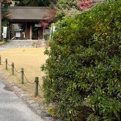 良いお年をお迎えくださいの画像2